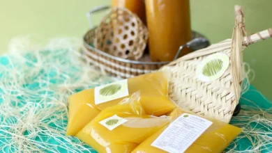 Organização dos Estados Ibero-americanos (OIE) permite venda de alimentos típicos paraenses na COP30 em Belém após reversão de proibição. Ministro do Turismo garante presença da culinária paraense, reconhecida internacionalmente.