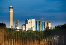 Itaú BBA mantém recomendação de compra para ações da Suzano e Klabin, apesar de incertezas no setor. Espera-se melhora do mercado de celulose e papel no médio prazo, mas atenção aos indicadores e condições macroeconômicas é crucial.
