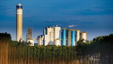 Itaú BBA mantém recomendação de compra para ações da Suzano e Klabin, apesar de incertezas no setor. Espera-se melhora do mercado de celulose e papel no médio prazo, mas atenção aos indicadores e condições macroeconômicas é crucial.