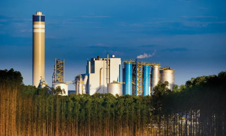Itaú BBA Mantém Compra para Suzano e Klabin, Apesar de Incertezas no Setor 1 Itaú BBA mantém recomendação de compra para ações da Suzano e Klabin, apesar de incertezas no setor. Espera-se melhora do mercado de celulose e papel no médio prazo, mas atenção aos indicadores e condições macroeconômicas é crucial.