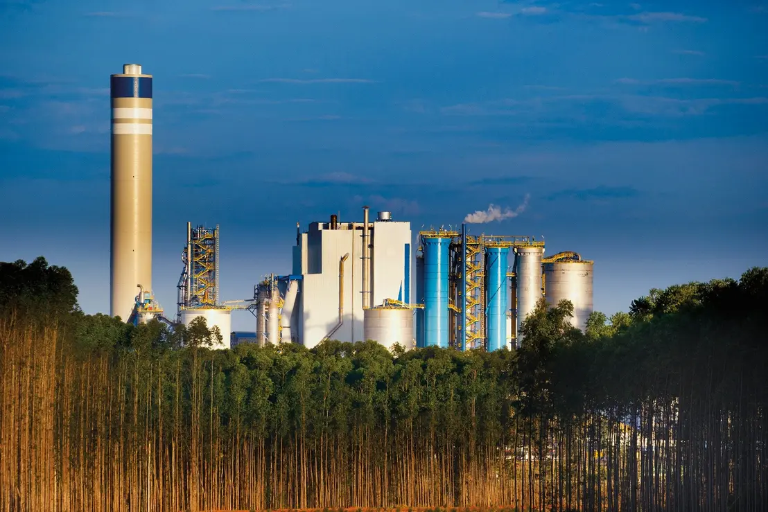 Itaú BBA mantém recomendação de compra para ações da Suzano e Klabin, apesar de incertezas no setor. Espera-se melhora do mercado de celulose e papel no médio prazo, mas atenção aos indicadores e condições macroeconômicas é crucial.
