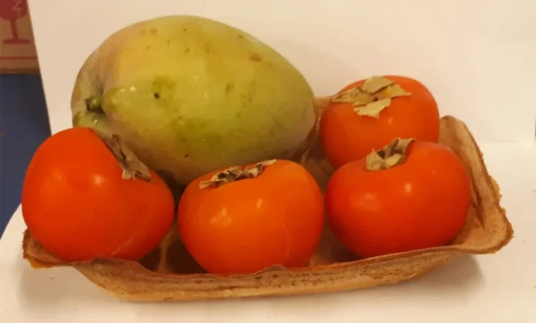 Embalagem Biodegradável a Partir de Amido e Cúrcuma Combatte a Poluição Plástica 1 Pesquisadores da USP desenvolvem embalagem biodegradável a partir de amido e resíduo de cúrcuma. Substituto para o isopor, se decompõe em 31 dias, combatendo a poluição plástica.