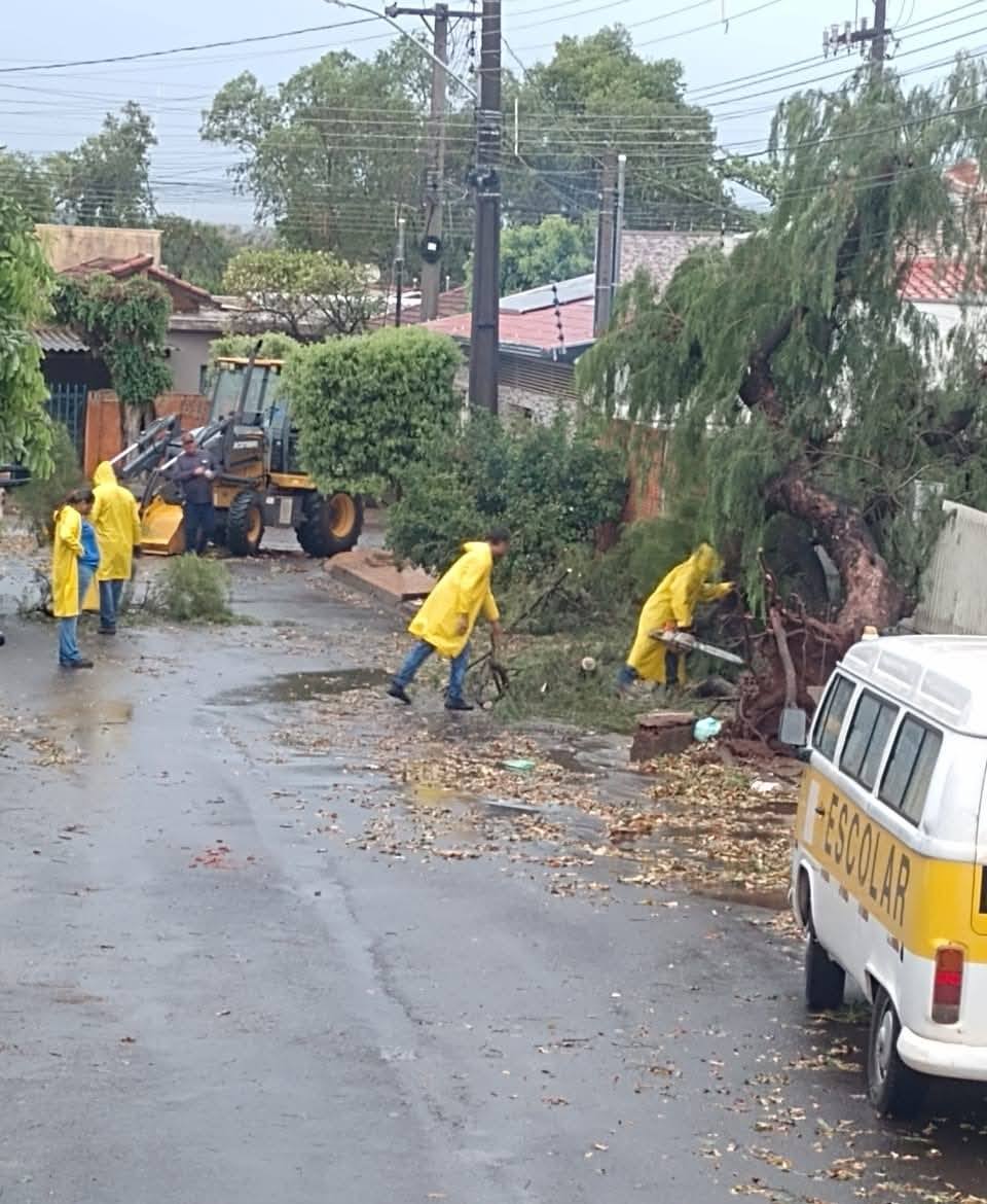 552441826 1723896388665054 8792638494164822680 n