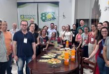 Sebrae