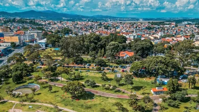 IBGE lança iniciativa inédita para mapear áreas verdes urbanas no Brasil. Projeto experimental em Guarulhos e Palmas revela importância dessas áreas para planejamento urbano e serviços ecosssistêmicos.
