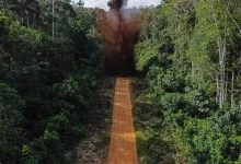 O MPF constatou aumento de pistas de pouso clandestinas na Amazônia, usadas para o garimpo ilegal. São 749 aeródromos irregulares, 175 em terras indígenas. O MPF pede à Justiça um plano de ação urgente para combater o problema.