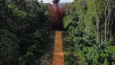 O MPF constatou aumento de pistas de pouso clandestinas na Amazônia, usadas para o garimpo ilegal. São 749 aeródromos irregulares, 175 em terras indígenas. O MPF pede à Justiça um plano de ação urgente para combater o problema.