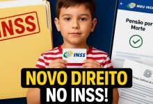 A NOVA LEI No 15.108 2025 E O RECONHECIMENTO DO VINCULO AFETIVO NA PREVIDENCIA SOCIAL