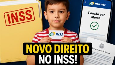 A NOVA LEI No 15.108 2025 E O RECONHECIMENTO DO VINCULO AFETIVO NA PREVIDENCIA SOCIAL