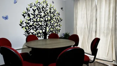 Governo de São Paulo abre duas novas Casas Terapêuticas em São José do Rio Preto, disponibilizando vagas para 90 pessoas em tratamento de reabilitação psicossocial.