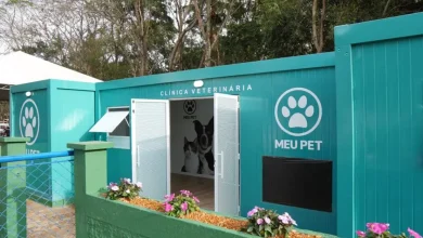 Sao Paulo expands "Meu Pet" program with 16 new veterinary care containers, totaling 71 across the state. This R$22 million investment ensures access to animal health for all citizens, expanding public veterinary care and promoting animal welfare.