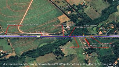 SP284 km451 2