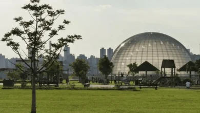 Cidade de São Paulo se prepara para evento internacional que promove a economia circular de resíduos eletroeletrônicos e preservação da biodiversidade da Mata Atlântica.