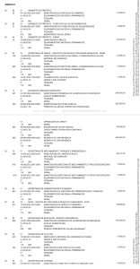 WhatsApp Image 2025 10 17 at 16.06.29 1