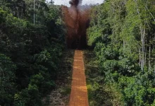 STF encerra ação histórica que protegia terras indígenas e combatia atividades ilícitas no Brasil. Operações em nove territórios removeram invasores de 18 milhões de hectares, beneficiando 58 mil indígenas. Resultados positivos no combate ao garimpo e exploração madeireira, com prejuízo estimado de R$ 740 milhões para atividades ilegais.