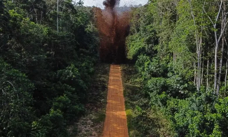 STF encerra ação histórica que protegia terras indígenas e combatia atividades ilícitas no Brasil. Operações em nove territórios removeram invasores de 18 milhões de hectares, beneficiando 58 mil indígenas. Resultados positivos no combate ao garimpo e exploração madeireira, com prejuízo estimado de R$ 740 milhões para atividades ilegais.