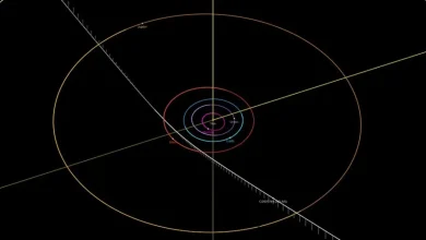 Cometa interestelar 3I/Atlas descoberto pela Nasa, com velocidade de 221 mil km/h, trazendo informações sobre "química da vida" de outros sistemas planetários.