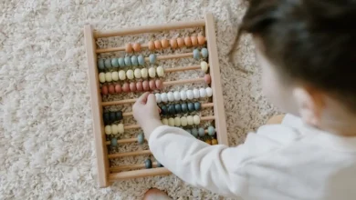 UNESCO reconhece o homeschooling como opção legítima, desde que respeite direitos humanos e garanta educação de qualidade. Relatório analisa modelos, benefícios e desafios da prática, que cresce globalmente.