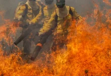 Incêndio de grande magnitude devasta 77 mil hectares de Cerrado na Chapada dos Veadeiros, Goiás. 130 brigadistas combatem as chamas, com apoio do ICMBio, Ibama e bombeiros. Autoridades investigam causas do incêndio.