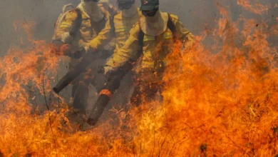 Incêndio de grande magnitude devasta 77 mil hectares de Cerrado na Chapada dos Veadeiros, Goiás. 130 brigadistas combatem as chamas, com apoio do ICMBio, Ibama e bombeiros. Autoridades investigam causas do incêndio.