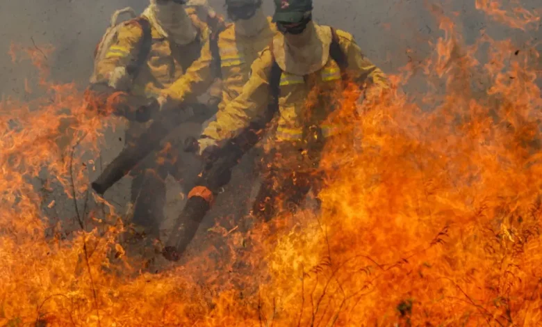 Incêndio na Chapada dos Veadeiros Devasta 77 Mil Hectares de Cerrado 1 Incêndio de grande magnitude devasta 77 mil hectares de Cerrado na Chapada dos Veadeiros, Goiás. 130 brigadistas combatem as chamas, com apoio do ICMBio, Ibama e bombeiros. Autoridades investigam causas do incêndio.