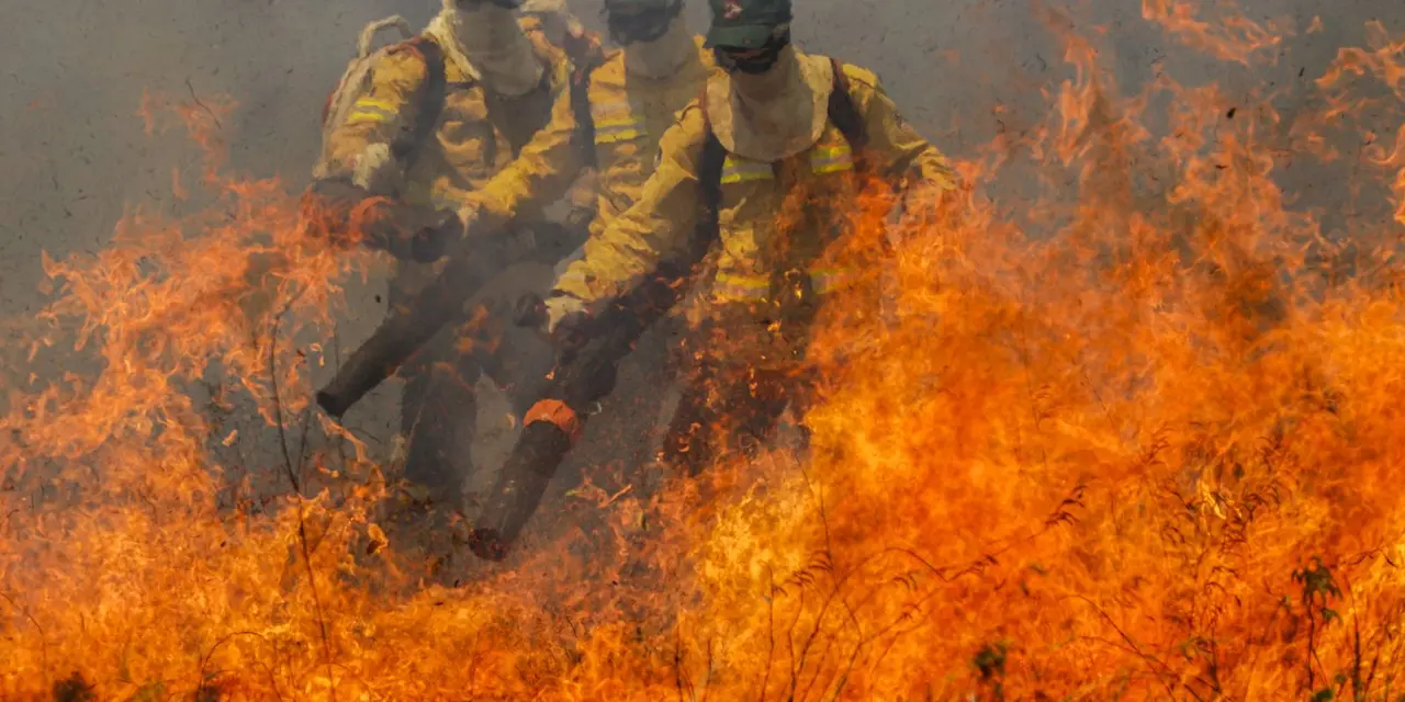 Incêndio de grande magnitude devasta 77 mil hectares de Cerrado na Chapada dos Veadeiros, Goiás. 130 brigadistas combatem as chamas, com apoio do ICMBio, Ibama e bombeiros. Autoridades investigam causas do incêndio.