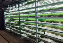 Conferência InovaClima Brasil: Summit SP+Verde discute soluções inovadoras para mudanças climáticas no Brasil, com concurso e especialistas em desenvolvimento sustentável.