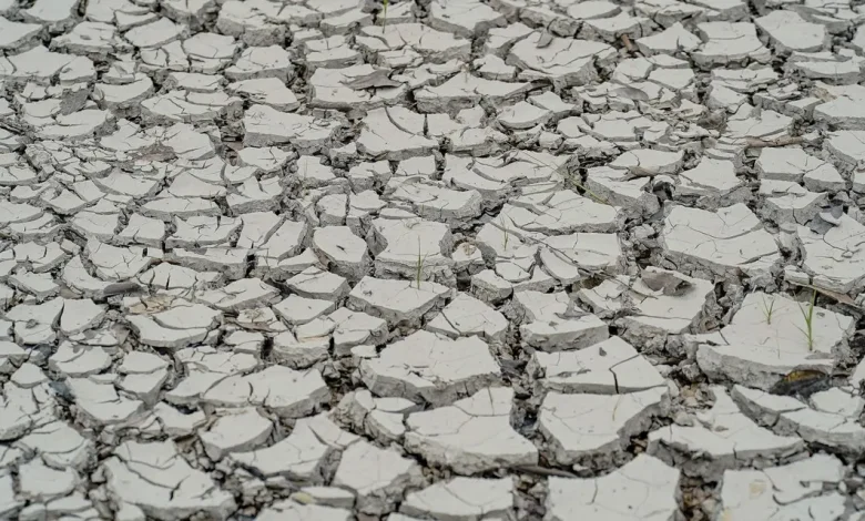 Governo do Piauí decreta emergência em 119 municípios devido à seca persistente que assola o estado desde 2022. O decreto autoriza ações emergenciais para enfrentar a crise hídrica e auxilia as cidades mais afetadas.