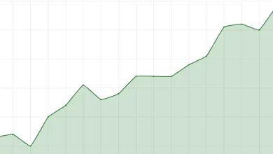 Tesouro IPCA+ 2029 atinge juro real de 8,09%, superando pico anterior e oferecendo opção mais atraente para investidores em busca de renda estável e menor exposição ao risco.