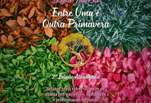 Lançamento de segunda edição do livro "Entre uma e outra primavera", reúne histórias de mulheres que enfrentaram o câncer de mama e transformaram a dor em missão de esperança e solidariedade.