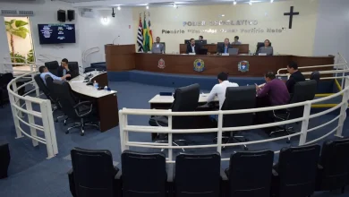A Câmara de Vereadores aprovou 5 projetos de autoria do Prefeito, incluindo remissão de créditos tributários e créditos especiais para secretarias municipais, para estimular o desenvolvimento da agricultura e do agronegócio.