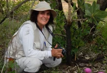 Giselda Durigan, pesquisadora do Instituto de Pesquisas Ambientais de SP, eleita pela quinta vez como uma das cientistas mais influentes do mundo, por suas contribuições à conservação do Cerrado.