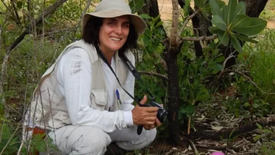 Giselda Durigan, pesquisadora do Instituto de Pesquisas Ambientais de SP, eleita pela quinta vez como uma das cientistas mais influentes do mundo, por suas contribuições à conservação do Cerrado.