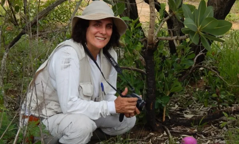 Giselda Durigan, pesquisadora do Instituto de Pesquisas Ambientais de SP, eleita pela quinta vez como uma das cientistas mais influentes do mundo, por suas contribuições à conservação do Cerrado.