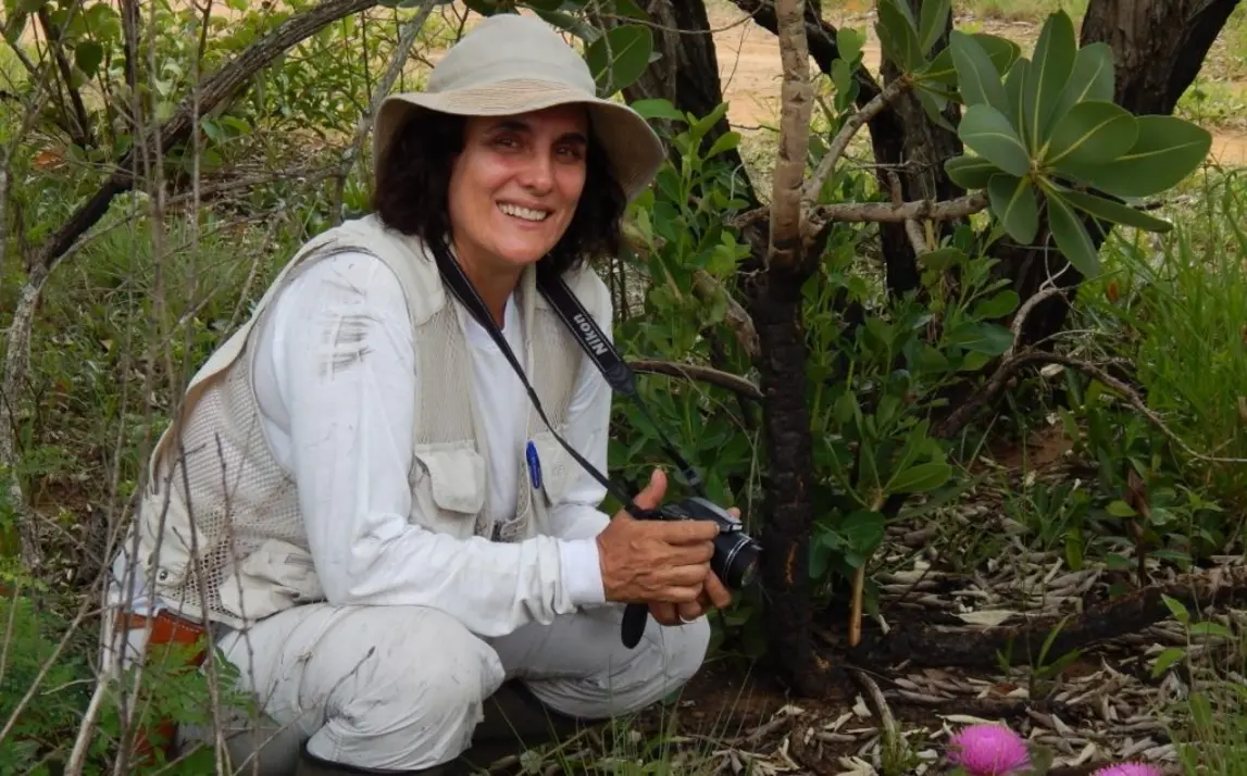 Giselda Durigan Eleita como Uma das Cientistas Mais Influentes do Mundo 14 Giselda Durigan, pesquisadora do Instituto de Pesquisas Ambientais de SP, eleita pela quinta vez como uma das cientistas mais influentes do mundo, por suas contribuições à conservação do Cerrado.