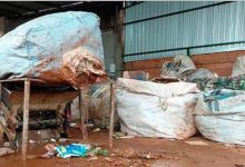 WhatsApp Image 2025 11 06 at 14.51.52