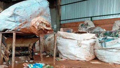 WhatsApp Image 2025 11 06 at 14.51.52