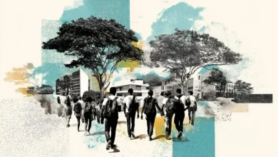 Estudo da Unesp revela que alunos cotistas tendem a ter desempenho mais baixo em universidades, mesmo após anos de estudo.