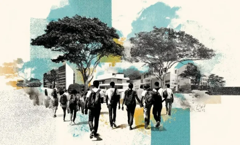 Estudo da Unesp revela que alunos cotistas tendem a ter desempenho mais baixo em universidades, mesmo após anos de estudo.