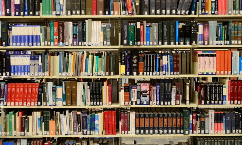 "Meridiana", romance de Eliana Alves Cruz, aborda a ascensão social de uma família negra marcada pela dor e pelo trauma. A autora busca preencher a lacuna de representação da ascensão social das pessoas negras na literatura e outras formas de arte.