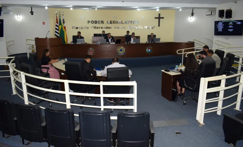 Câmara de Vereadores aprova projetos importantes, incluindo regulamentação de edificações e parcerias com instituições sociais para melhorar atendimento médico e proteção a crianças vulneráveis.