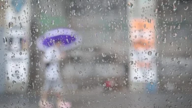 Chuvas fortes atingem o oeste do estado 2 Chuvas fortes atingem o oeste do estado, causando alagamentos e estragos significativos. A Defesa Civil trabalha para ajudar a população afetada, minimizando o impacto das chuvas.