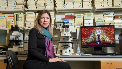 Pesquisadores internacionais revelaram neurônios específicos responsáveis pela febre e pelo torpor, abrindo caminho para novos tratamentos e aplicações em medicina e astronautica.