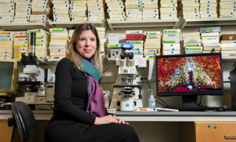 Pesquisadores internacionais revelaram neurônios específicos responsáveis pela febre e pelo torpor, abrindo caminho para novos tratamentos e aplicações em medicina e astronautica.