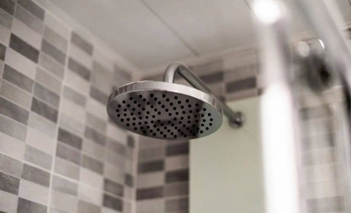 Descubra os benefícios de banho quente e frio para a saúde, incluindo dor, imunidade e perda de peso. Conheça os pontos fortes e fracos de cada opção e escolha a melhor para sua saúde e preferência pessoal.