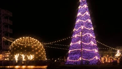 Celebrações cristãs do Natal em diferentes partes do mundo, mostrando a diversidade e riqueza das tradições e símbolos que refletem a fé e a cultura local.