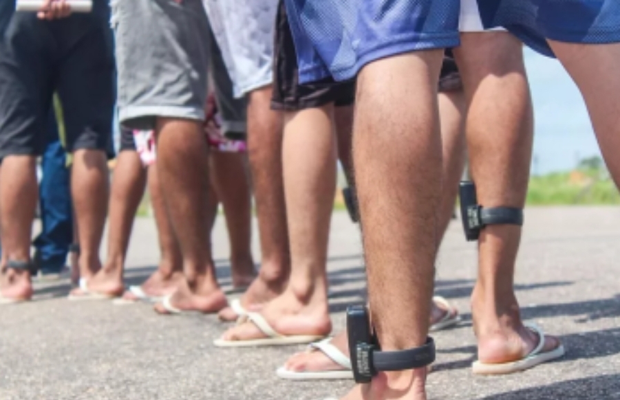 A INFAME ‘SAIDINHA’. 14 1002319849