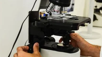 Cientistas desenvolvem teste inovador para prever reação de pacientes à medicação contra a esclerose múltipla, aumentando a eficácia do tratamento e reduzindo custos.