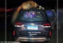 17673512260 sgP6tTf74wcZoRE