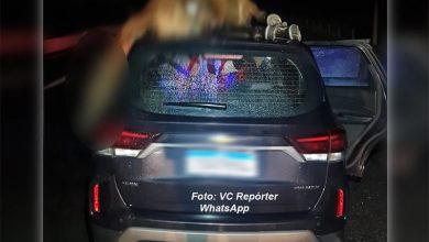 17673512260 sgP6tTf74wcZoRE